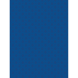 Westcott X-Drop Harmony Modern Vintage Backdrop