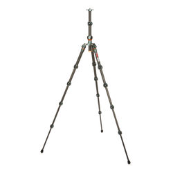 3 Legged Thing Legends Ray Tripod in Grey