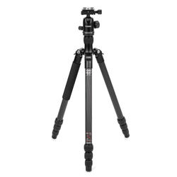 Caruba Statieven Carbon