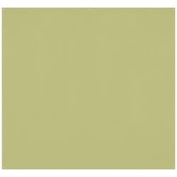 Westcott X-Drop Pro Kreukbestendige Achtergrond - Mos Groen (2.4 x 2.4 m)