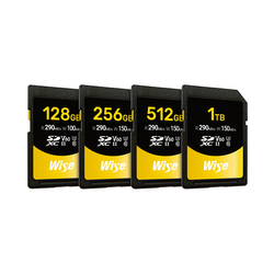 Wise SDXC USH-II V60